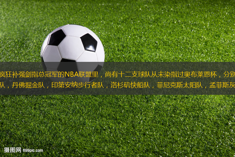 在當今各個球隊瘋狂補強劍指總冠軍的NBA聯(lián)盟里，尚有十二支球隊從未染指過奧布萊恩杯，分別是布魯克林籃網(wǎng)隊，夏洛特黃蜂隊，丹佛掘金隊，印第安納步行者隊，洛杉磯快船隊，菲尼克斯太陽隊，孟菲斯灰熊隊，明尼蘇